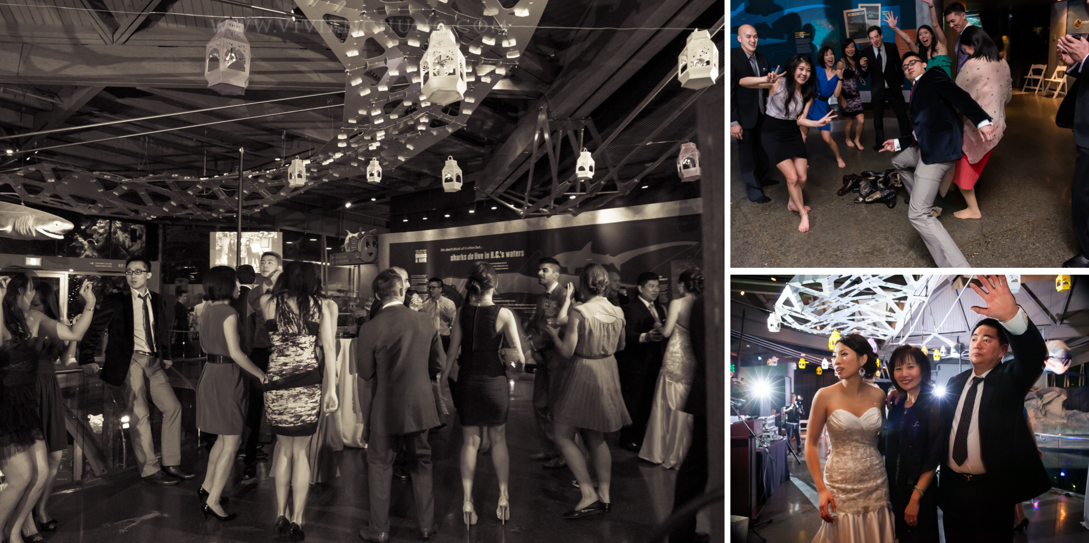 Shawn and michelle wedding, Vancouver Aquarium, Vancouver Aquarium Wedding