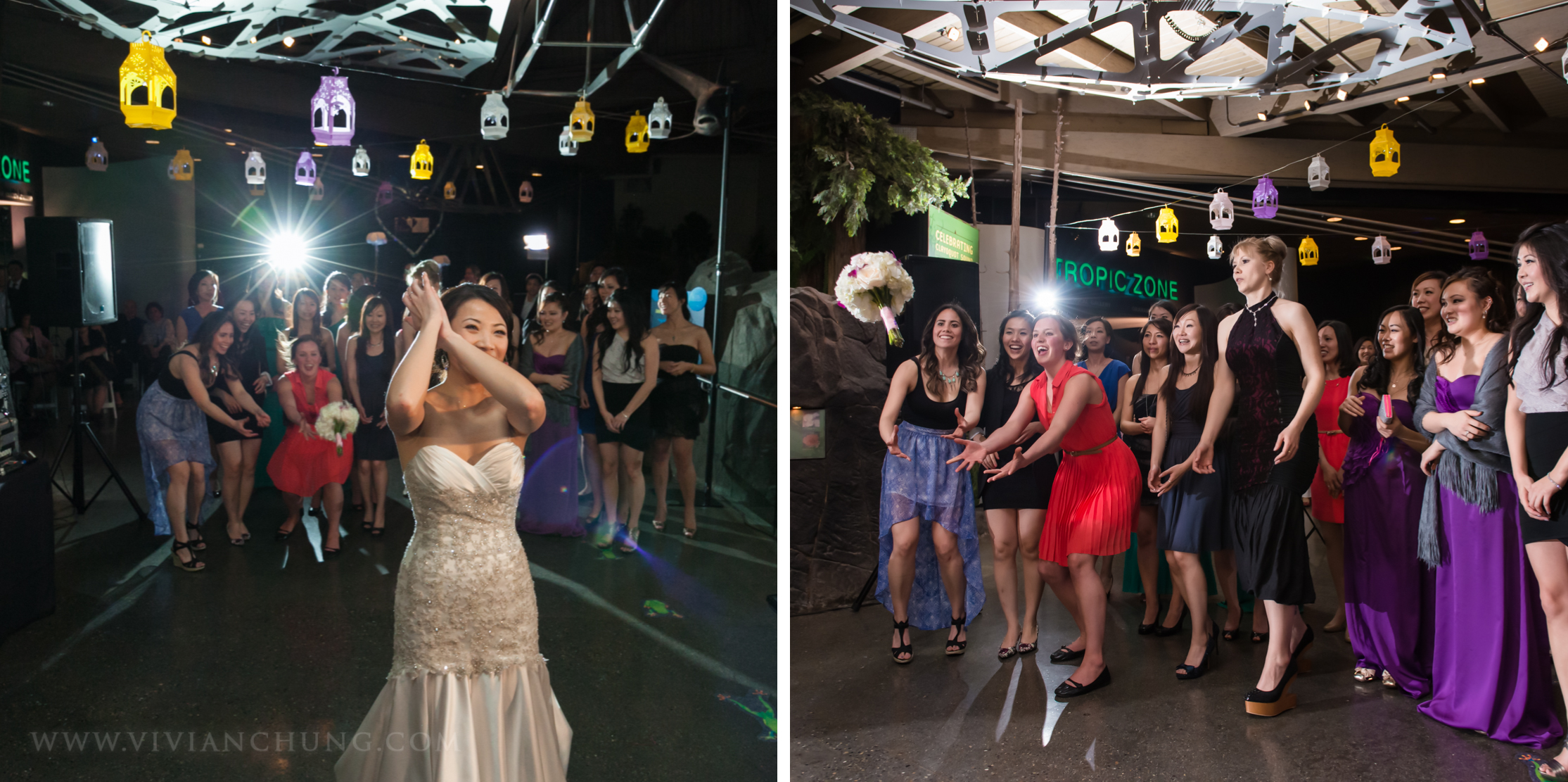 Shawn and michelle wedding, Vancouver Aquarium, Vancouver Aquarium Wedding