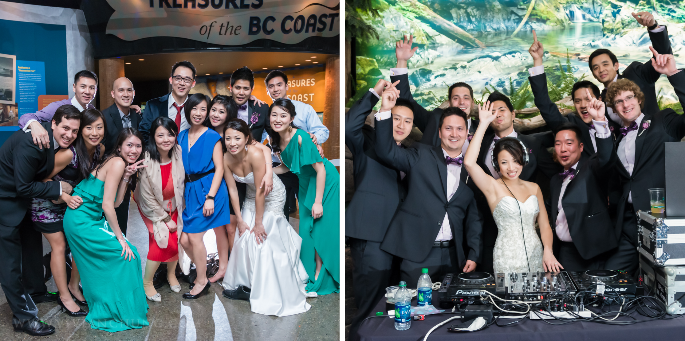 Shawn and michelle wedding, Vancouver Aquarium, Vancouver Aquarium Wedding