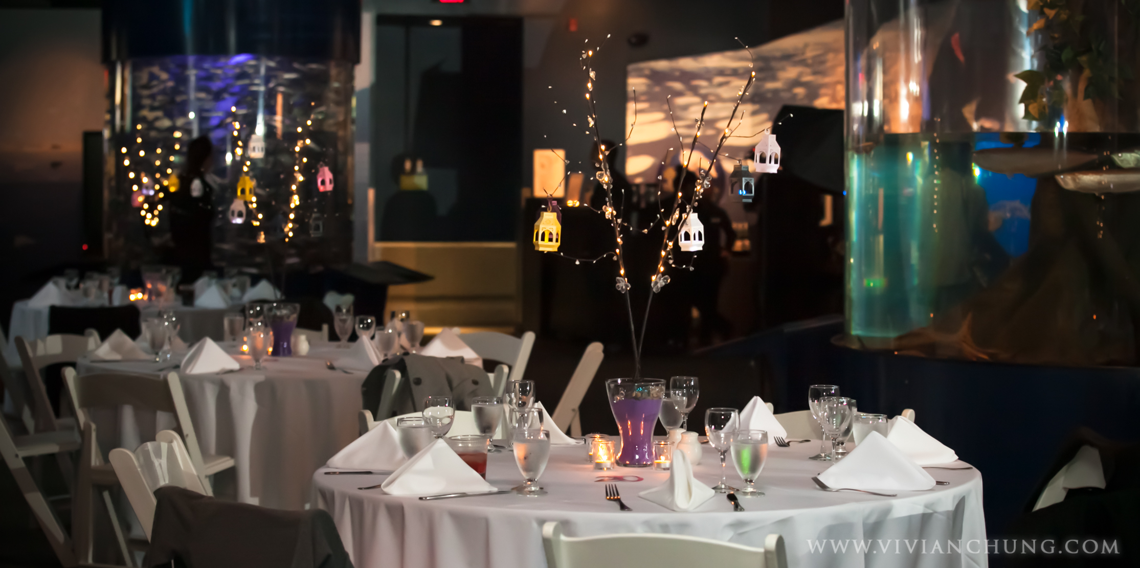 Shawn and michelle wedding, Vancouver Aquarium, Vancouver Aquarium Wedding