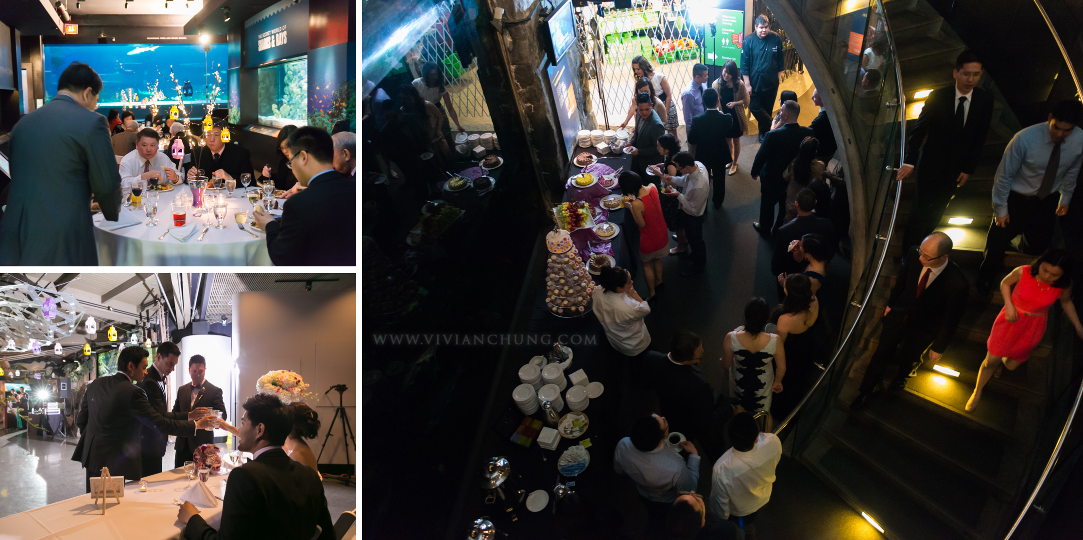 Shawn and michelle wedding, Vancouver Aquarium, Vancouver Aquarium Wedding