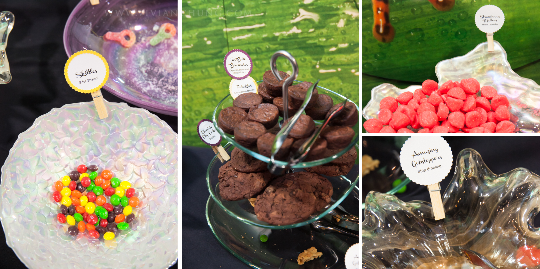 Shawn and michelle wedding, Vancouver Aquarium, Vancouver Aquarium Wedding