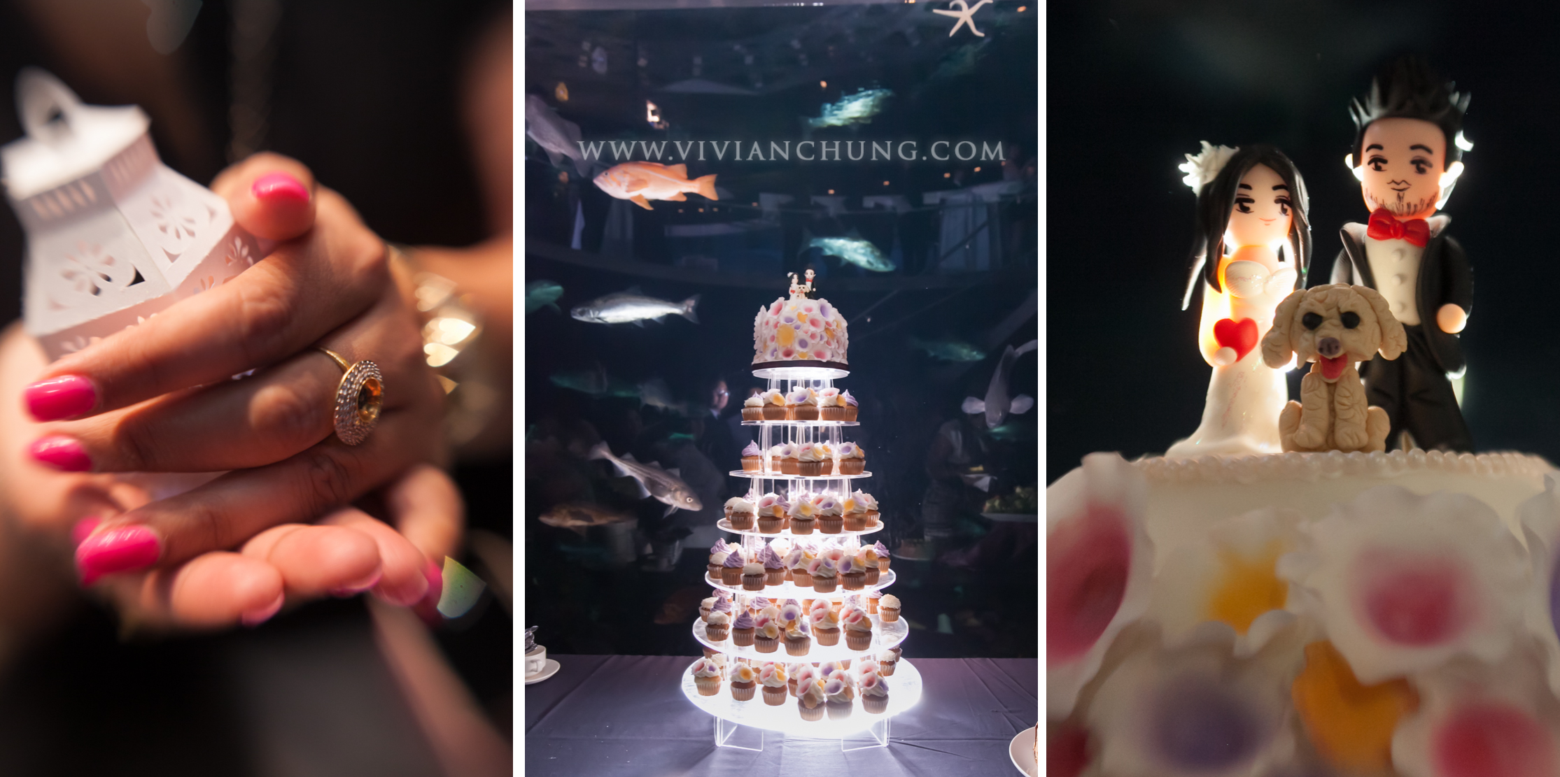 Shawn and michelle wedding, Vancouver Aquarium, Vancouver Aquarium Wedding